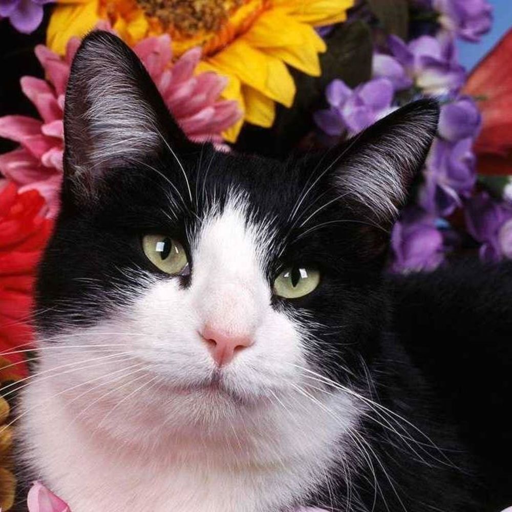 Meet your Posher, Claudia